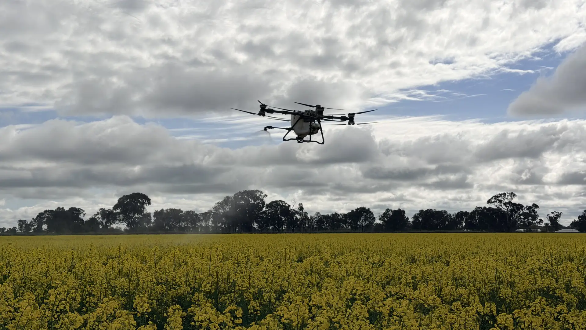 Drone spraying and spreading service