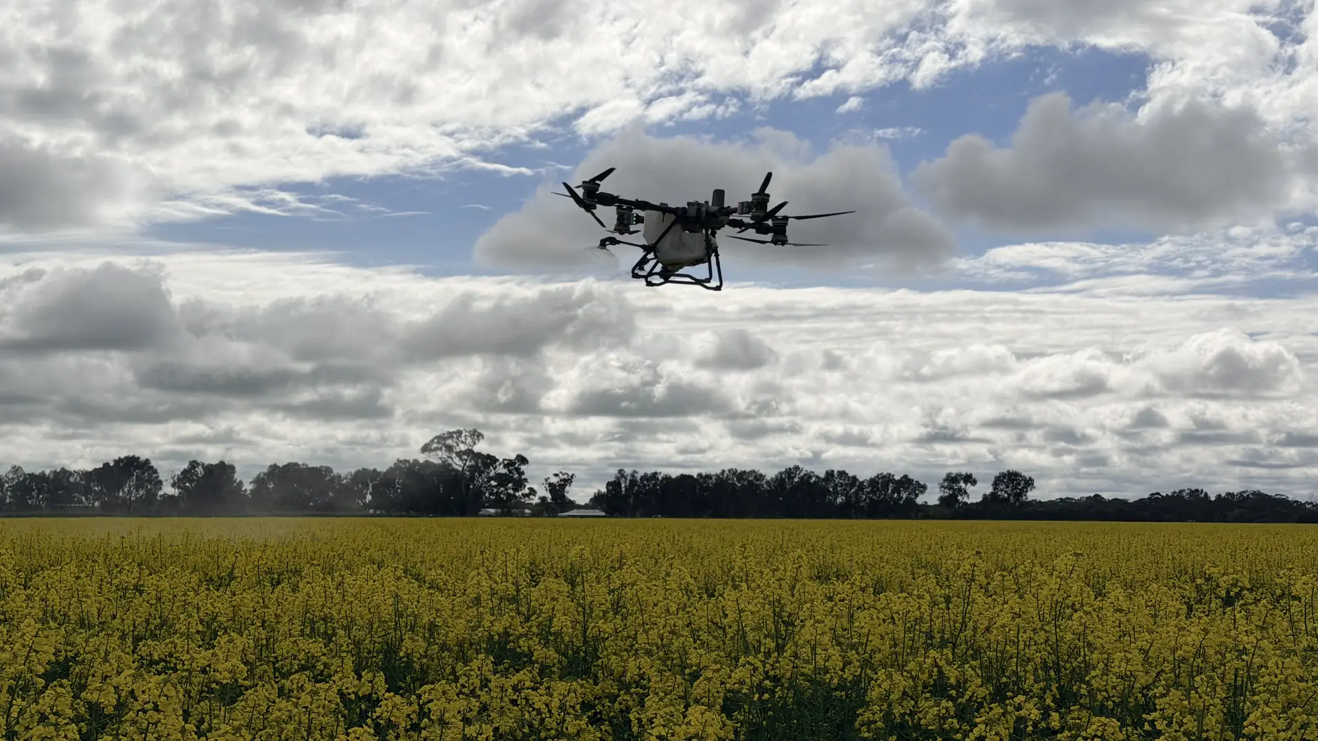 Drone spraying and spreading service
