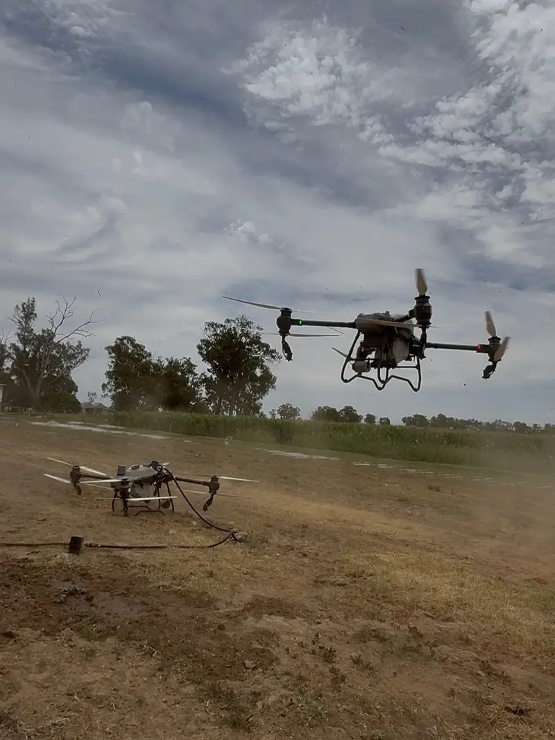 Drone spraying and spreading service