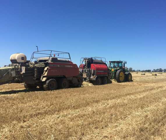 Hay Steamer