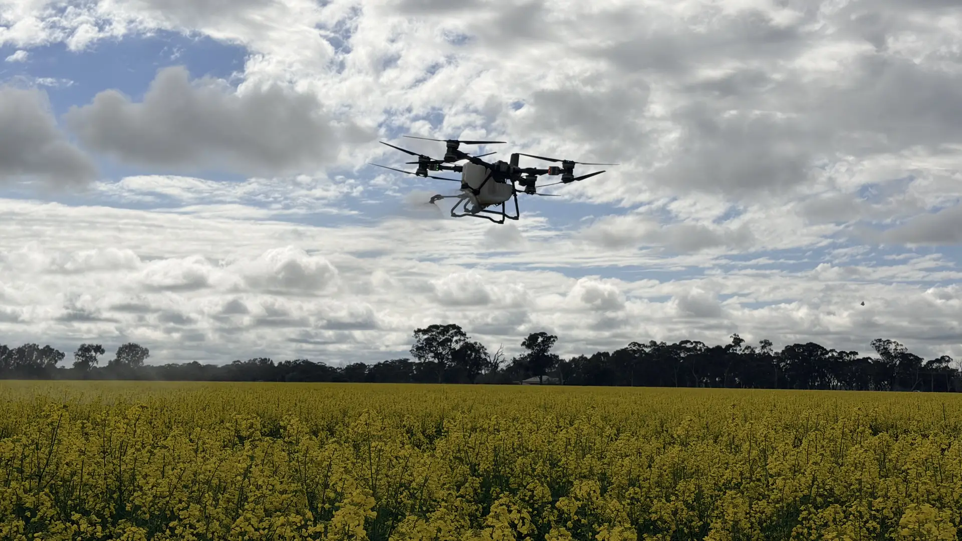 Agricultural drone spraying a paddock